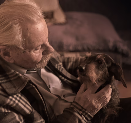 不老的爸爸讓我看見堅韌 不老的爸爸讓我看見堅韌