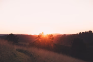 世界多美麗的歌聲讓我看見未來