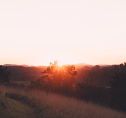 世界多美麗的歌聲讓我看見未來 世界多美麗的歌聲讓我看見未來