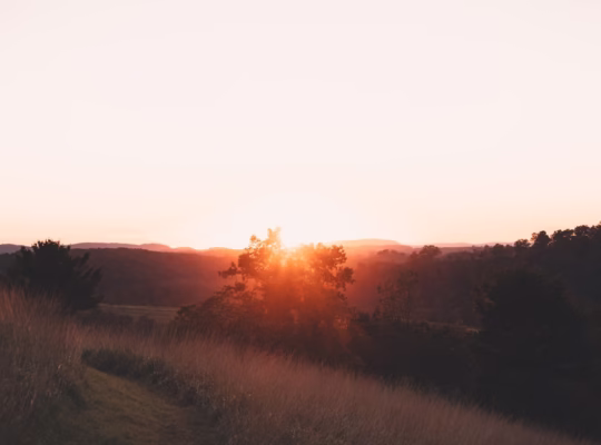 世界多美麗的歌聲讓我看見未來 世界多美麗的歌聲讓我看見未來