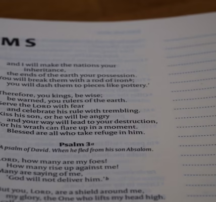 叮噹的最後一次歌聲 叮噹的最後一次歌聲