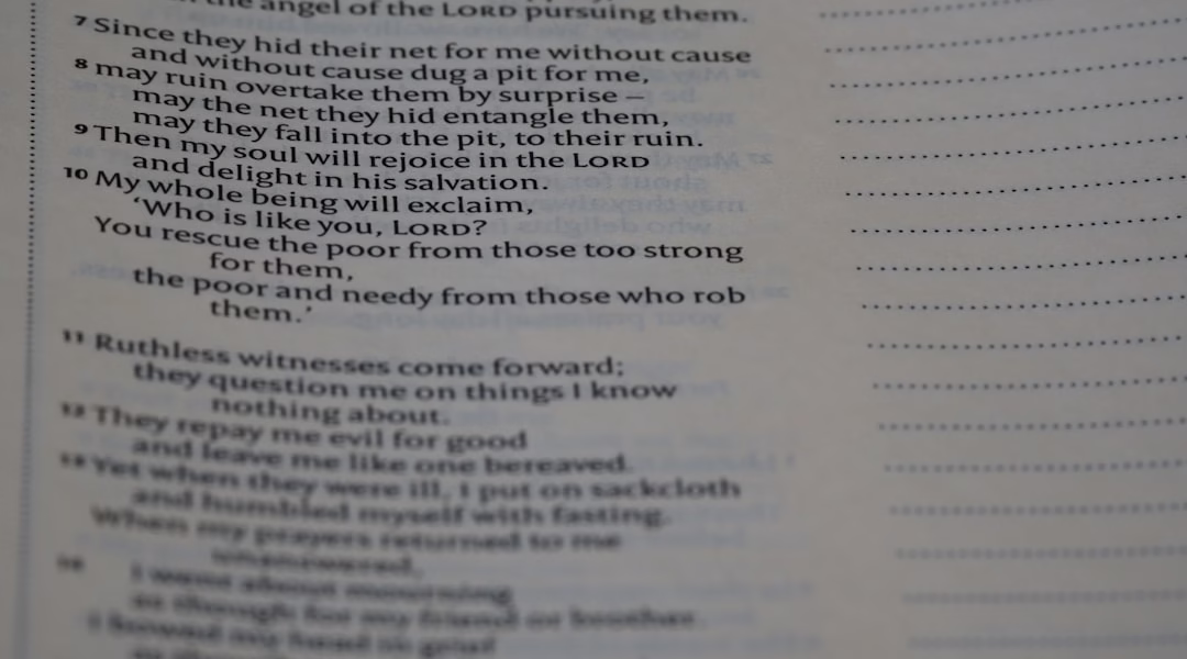 勇氣的旋律——可愛的明天 勇氣的旋律——可愛的明天