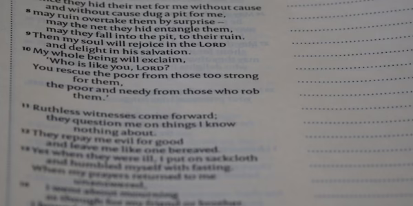 勇氣的旋律——可愛的明天