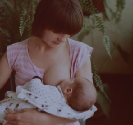 媽媽歌聲裡的陽光 媽媽歌聲裡的陽光