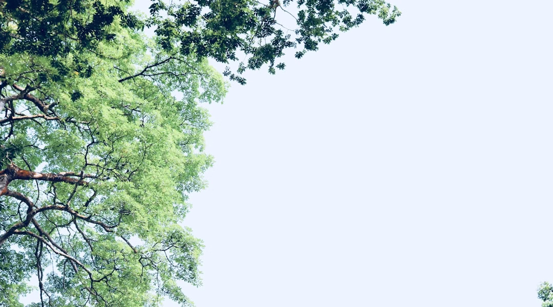 《媽媽好》一句,教我珍愛母愛 《媽媽好》一句,教我珍愛母愛