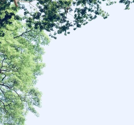 《媽媽好》一句,教我珍愛母愛 《媽媽好》一句,教我珍愛母愛