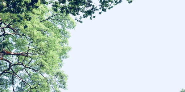 《媽媽好》一句，教我珍愛母愛