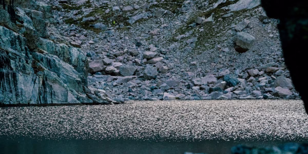 山南山北的回憶