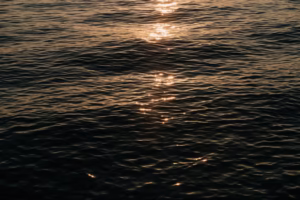 不必回頭,卻依舊在尋找 不必回頭,卻依舊在尋找