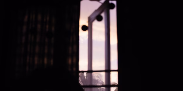 當《幾時再回頭》響起