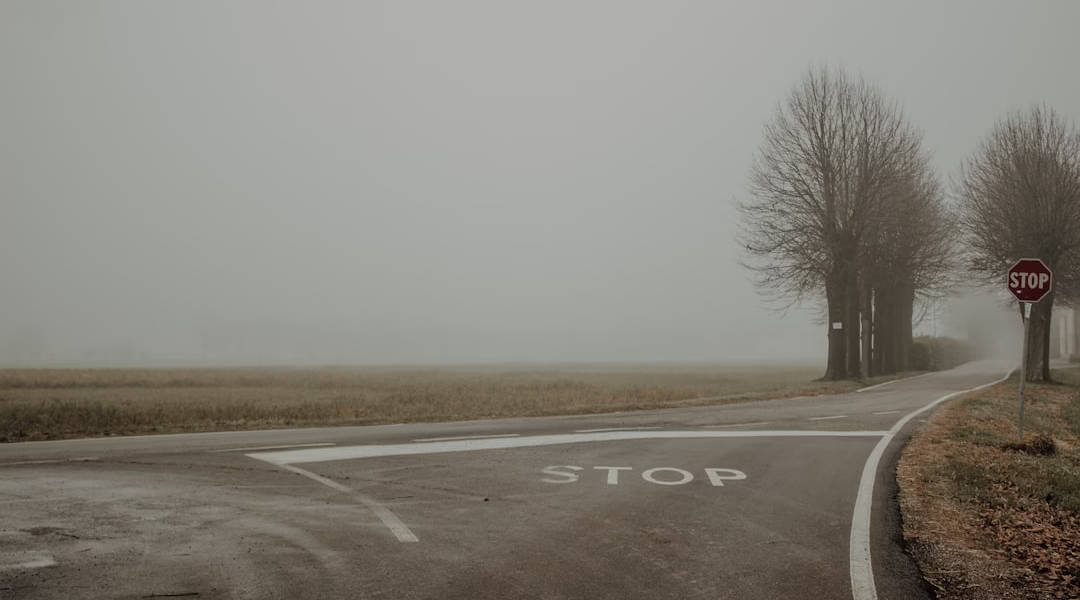 距離成了我心裡的風