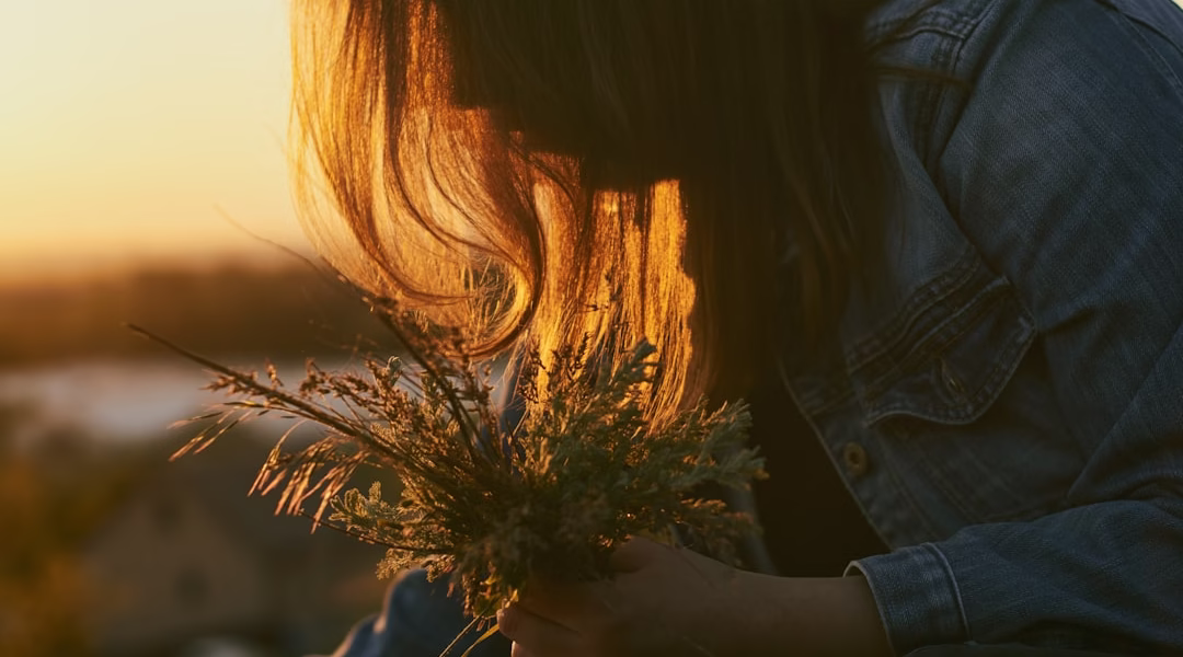 在悲觀之歌裡,我找到了快樂 在悲觀之歌裡,我找到了快樂
