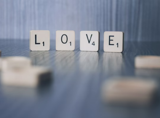 每一次愛的開始都是學習 每一次愛的開始都是學習