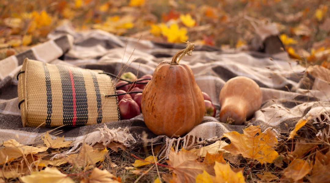 感恩歌裡的暖光 感恩歌裡的暖光