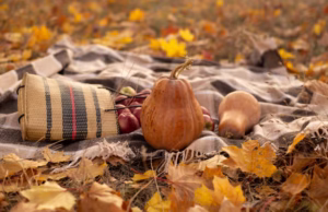 感恩歌裡的暖光 感恩歌裡的暖光