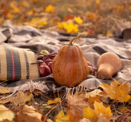 感恩歌裡的暖光