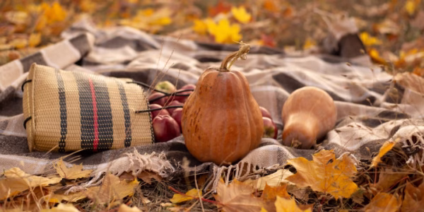 感恩歌裡的暖光