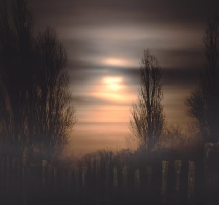 明月千里寄相思 明月千里寄相思