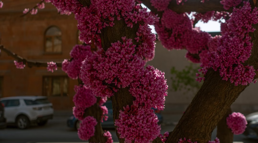 春風滿小城：放學路上的回憶