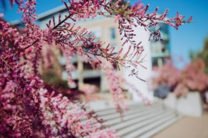 春風在青春的角落輕吻我 春風在青春的角落輕吻我
