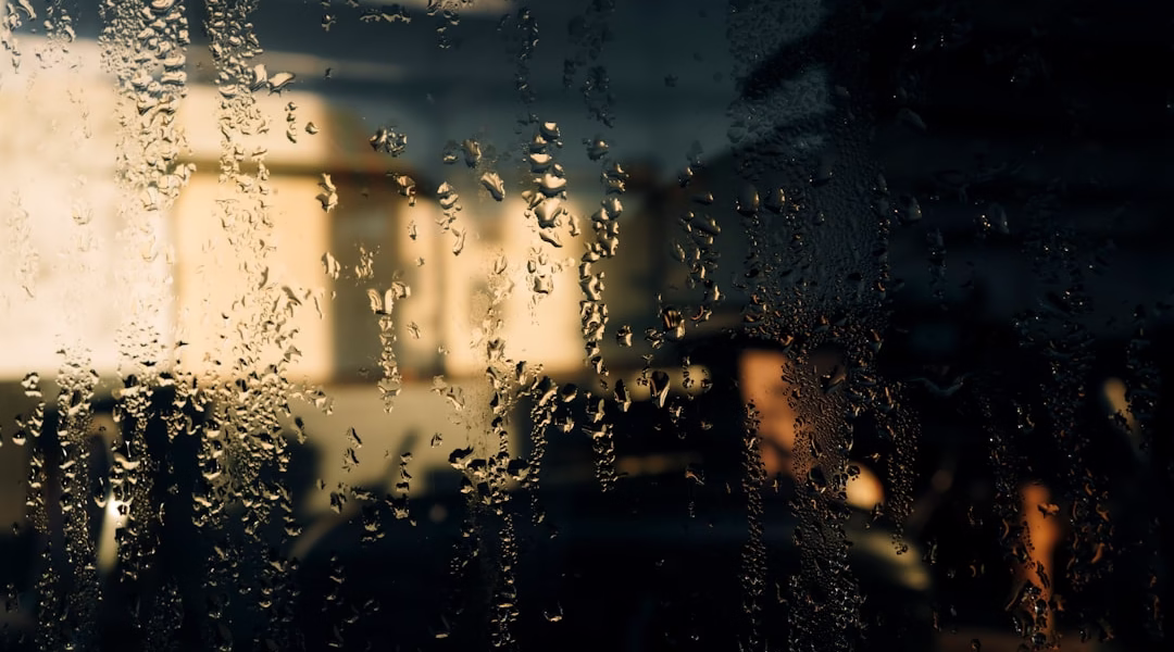 雨季的淚滴回憶 雨季的淚滴回憶