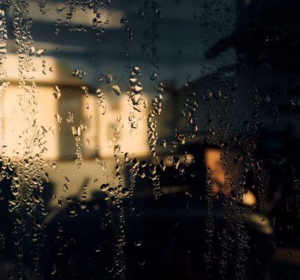 雨季的淚滴回憶 雨季的淚滴回憶