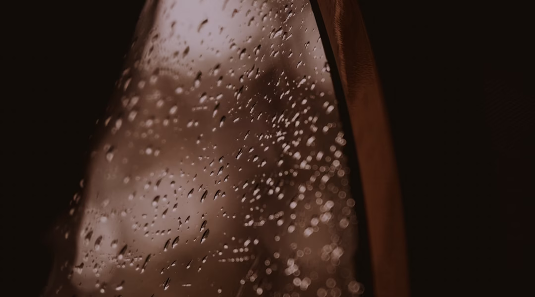 淚的小雨,讓我學會釋懷 淚的小雨,讓我學會釋懷