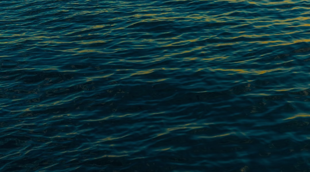 漂浪之女，我的自我放逐