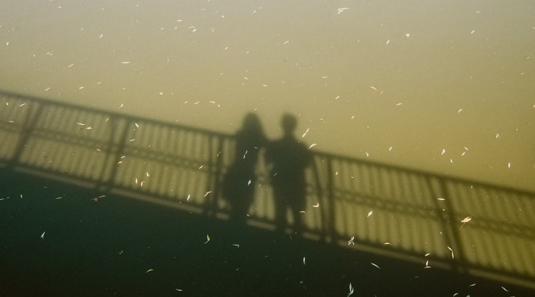 相聚更甜蜜,歌聲相伴 相聚更甜蜜,歌聲相伴