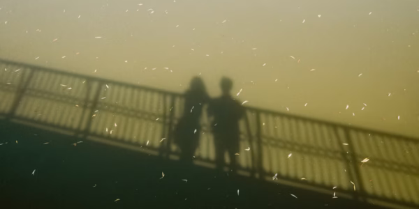 相聚更甜蜜，歌聲相伴