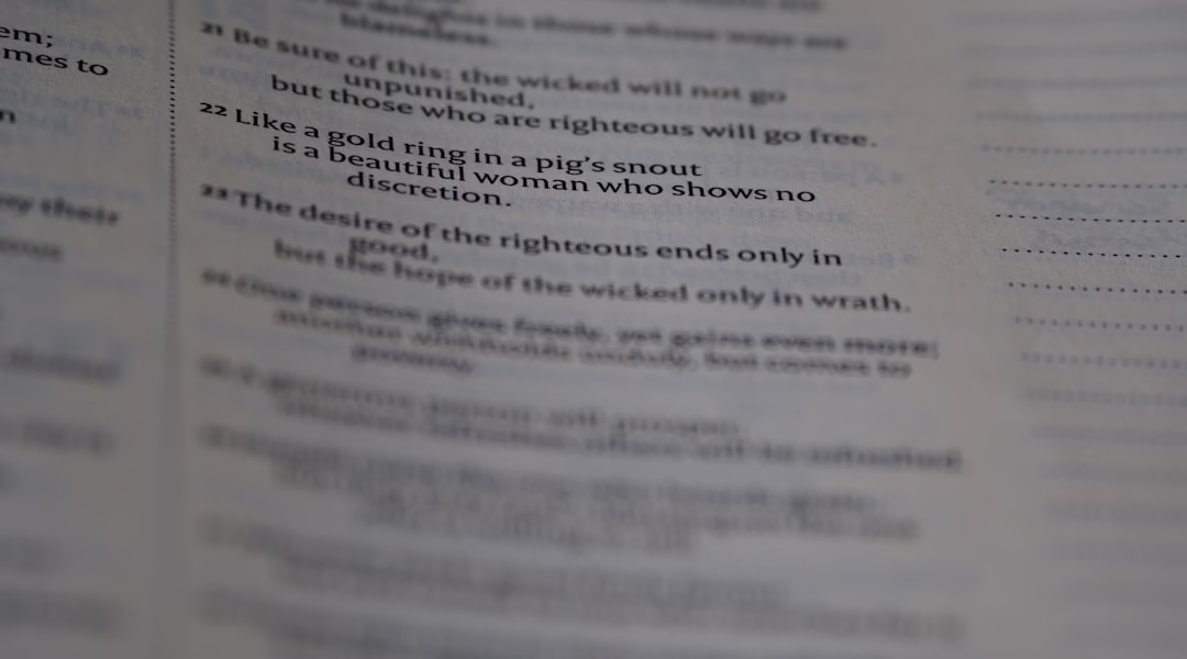 詩意之光,書頁間的旋律 詩意之光,書頁間的旋律