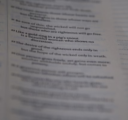 詩意之光,書頁間的旋律 詩意之光,書頁間的旋律