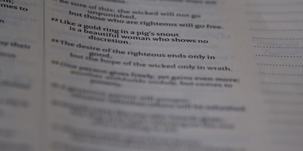 詩意之光，書頁間的旋律