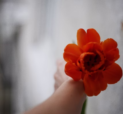 讓花兒為你開　溫暖的聲音