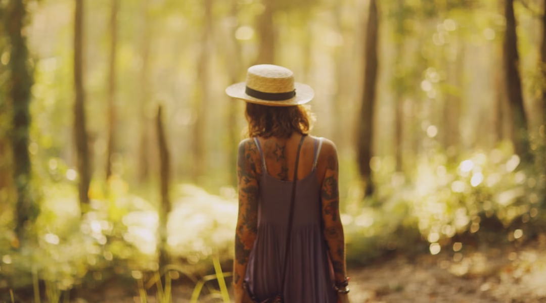 阿里山姑娘的歌聲