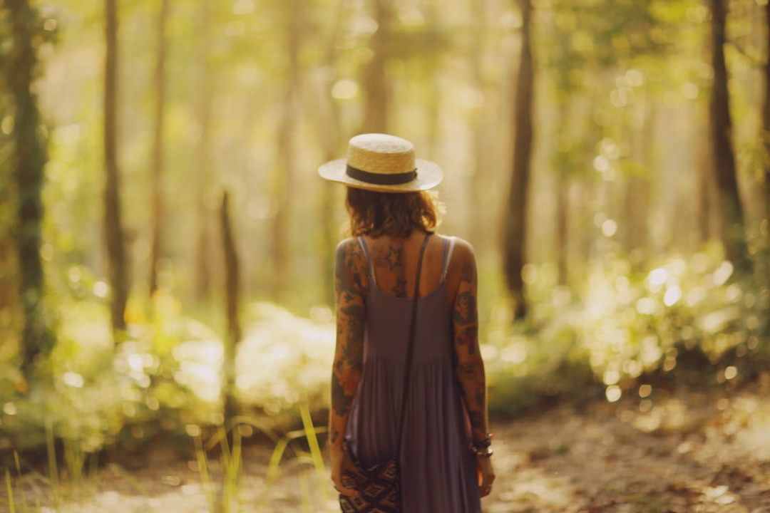 阿里山姑娘的歌聲