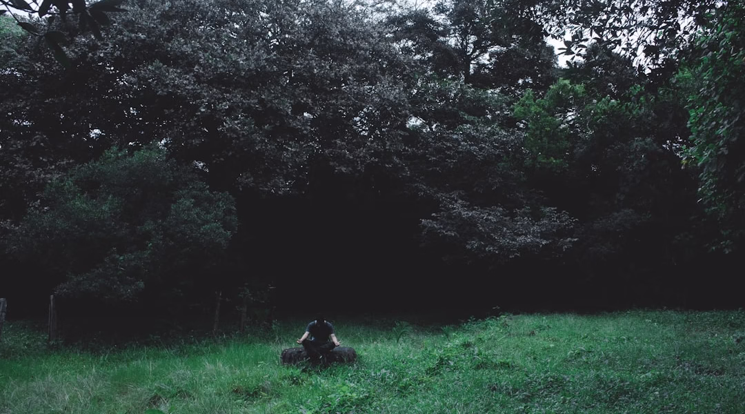 夢裡的亞麻色 夢裡的亞麻色