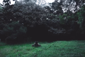 夢裡的亞麻色 夢裡的亞麻色