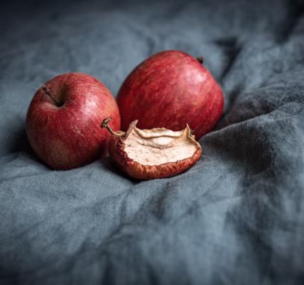 苹果的旋律在我心 苹果的旋律在我心