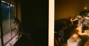 明月千里寄相思 明月千里寄相思