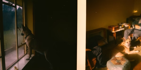 明月千里寄相思