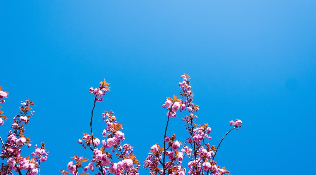 失望裡的光 失望裡的光