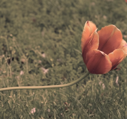 《倔強》在雨夜的心聲 《倔強》在雨夜的心聲