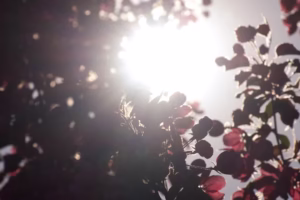 溫柔,雨夜裡的心語 溫柔,雨夜裡的心語