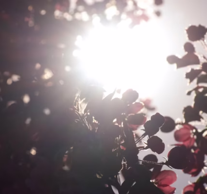 溫柔,雨夜裡的心語 溫柔,雨夜裡的心語