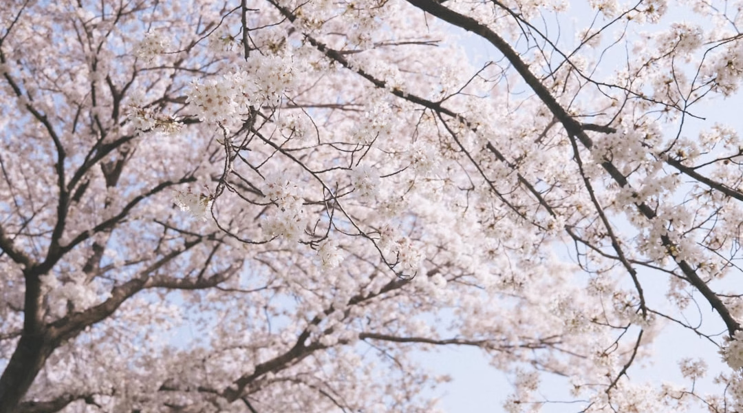 我在《知足》里，學會珍惜