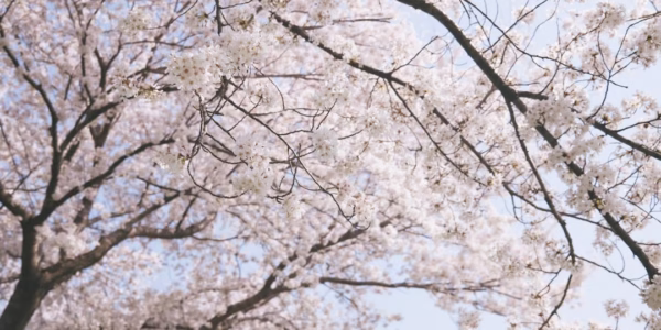 我在《知足》里，學會珍惜