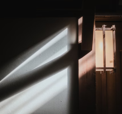 陽光午後的水長流 陽光午後的水長流