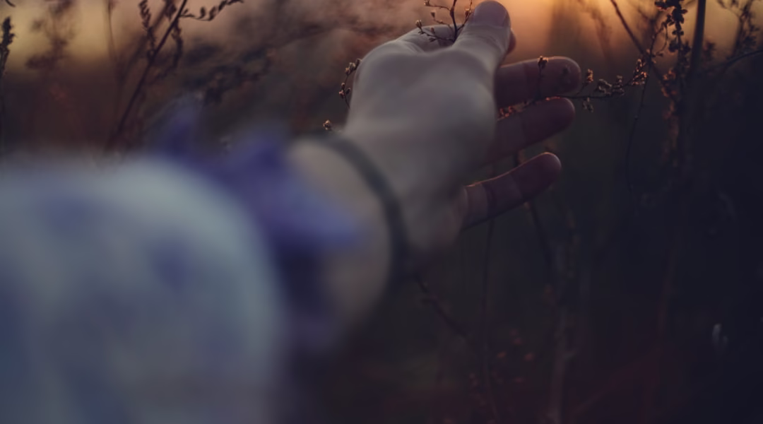 童話裡的泪光 童話裡的泪光