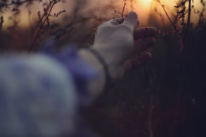 童話裡的泪光 童話裡的泪光